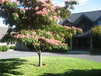 Heron Hill Hotell Kerikeri Eksteriør bilde